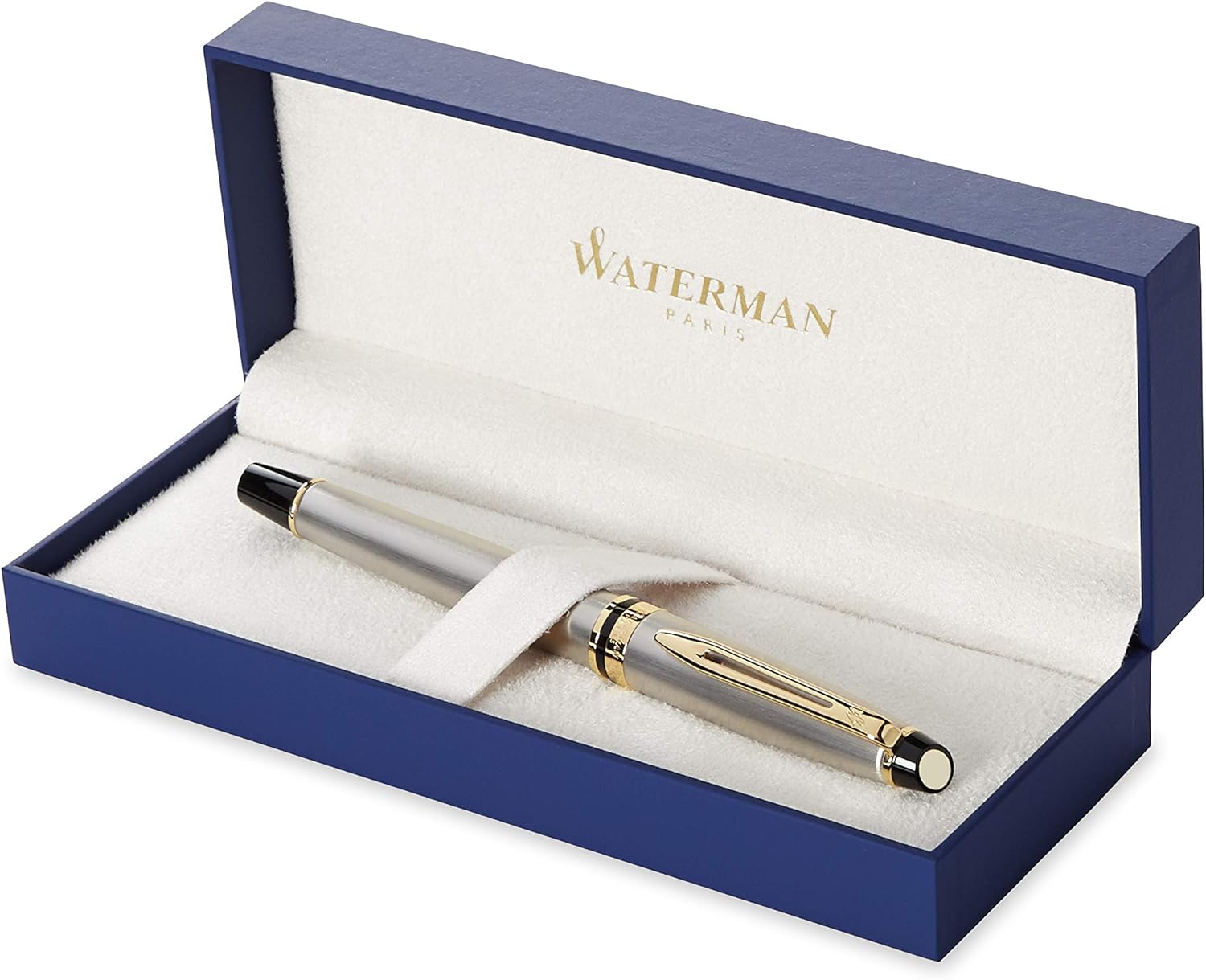 Waterman Expert Fountain Pen, Stainless Steel | Gold Attributes, Fine Nib