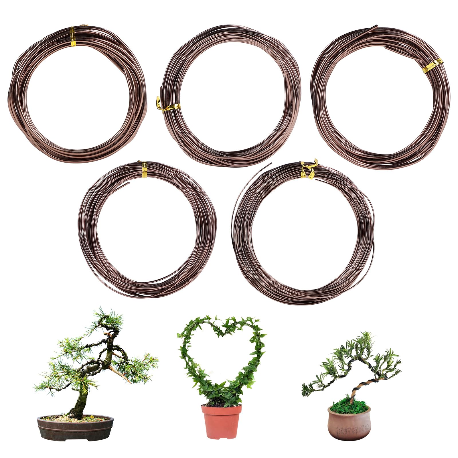 SUPAWAY Craft Wire for Bonsai Aluminium Bonsai Training Wire for Attaching Plants Anodised Aluminium Bonsai Wire 5 Rolls with 5 Sizes (1/1.5/2/2.5/3 mm), Total 164 Feet