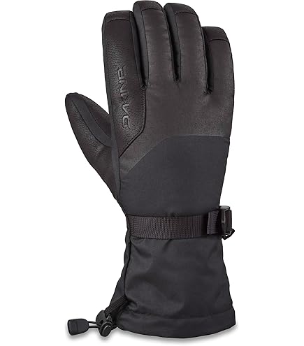 Amazon.com : Dakine Team Phoenix Gore-Tex Glove - Sammy Carlson