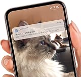 Catit PIXI Smart Drinking Water Fountain for Cats, White, App Enabled view 4