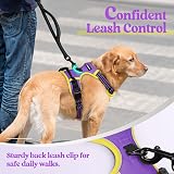 rabbitgoo Dog Harness Medium No Pull Reflective Adjustable Padding Purple Yellow view 7