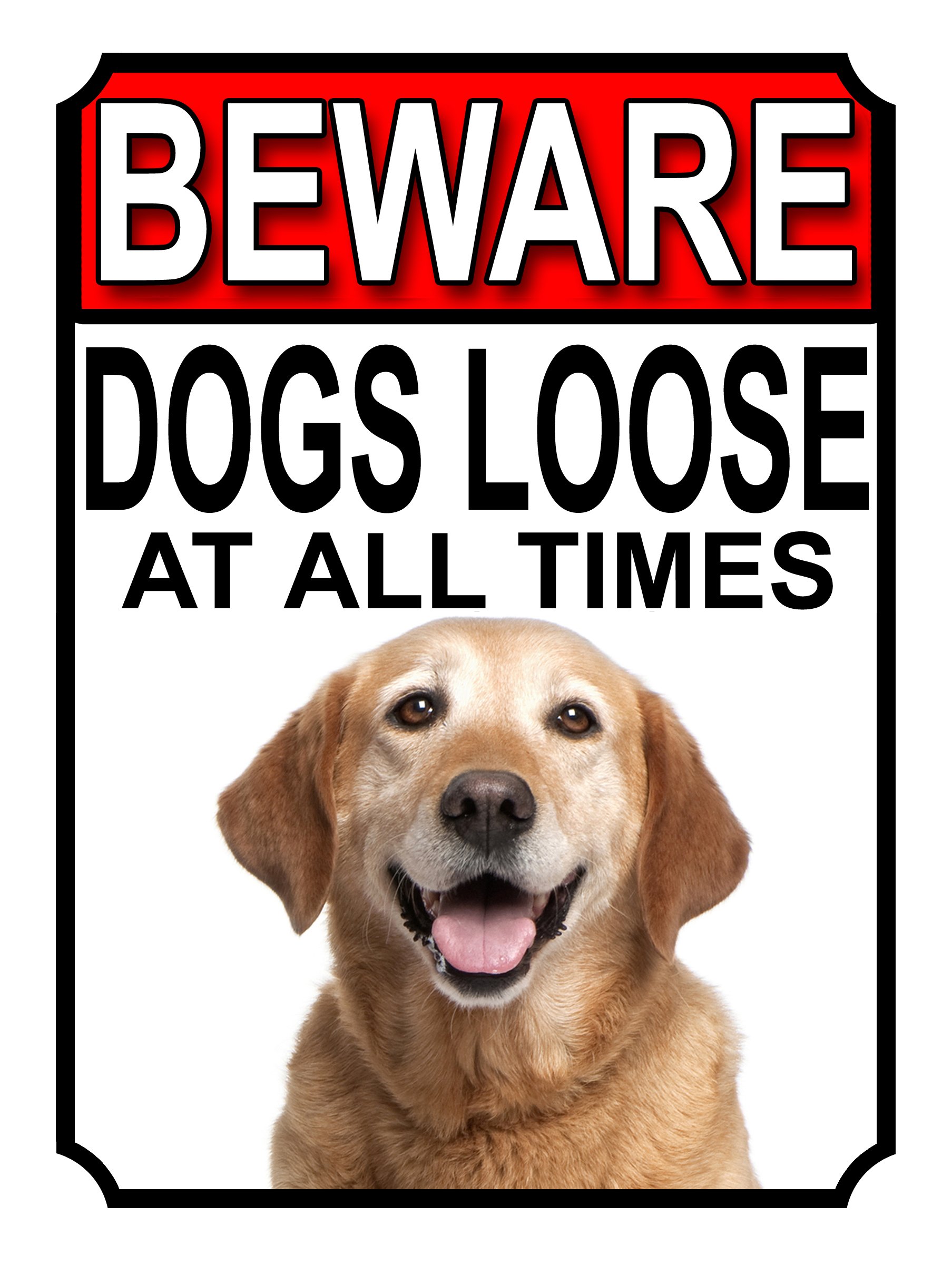 BEWARE DOGS LOOSE AT ALL TIMES METAL SIGN YELLOW LABRADOR 200MM X 150MM (1027H1)