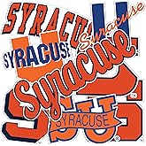 Desert Cactus Syracuse University Cuse Orange Sticker Vinyl Decals Laptop Water Bottle Car T2 (Type 2 - Vintage)