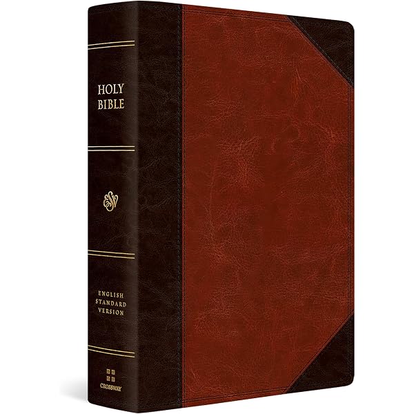 ESV Super Giant Print Bible (Black): ESV Bibles: 9781433565489