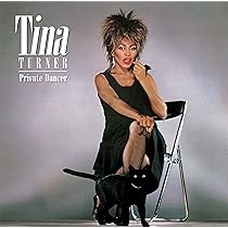 Break Every Rule (2022 Remaster) [Vinyl] Tina Turner: Amazon.com