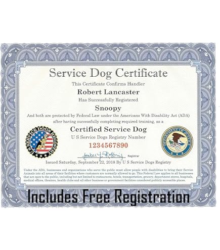 Amazon.com : XpressID Holographic Custom Service Dog ID Card with Photo -  Registeration to Service Animal Registry Plus Digital ID for Mobile Devices 