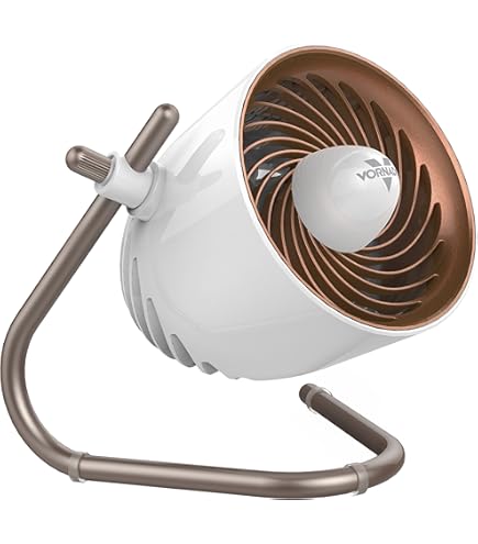 Amazon.com: Caframo Chinook, 2-Speed Desk Fan, Cage Free, Easy To