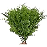 42PCS Christmas Greenery Picks for Crafts Artificial Pine Branches Christmas Stem Pine Picks Christmas Faux Cedar Stems Christmas Floral Picks Decoration