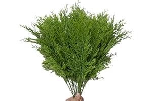 CIGOBY 42PCS Christmas Greenery Picks for Crafts Artificial Pine Branches Christmas Stem Pine Picks Christmas Faux Cedar Stems Christmas Floral Picks Decoration