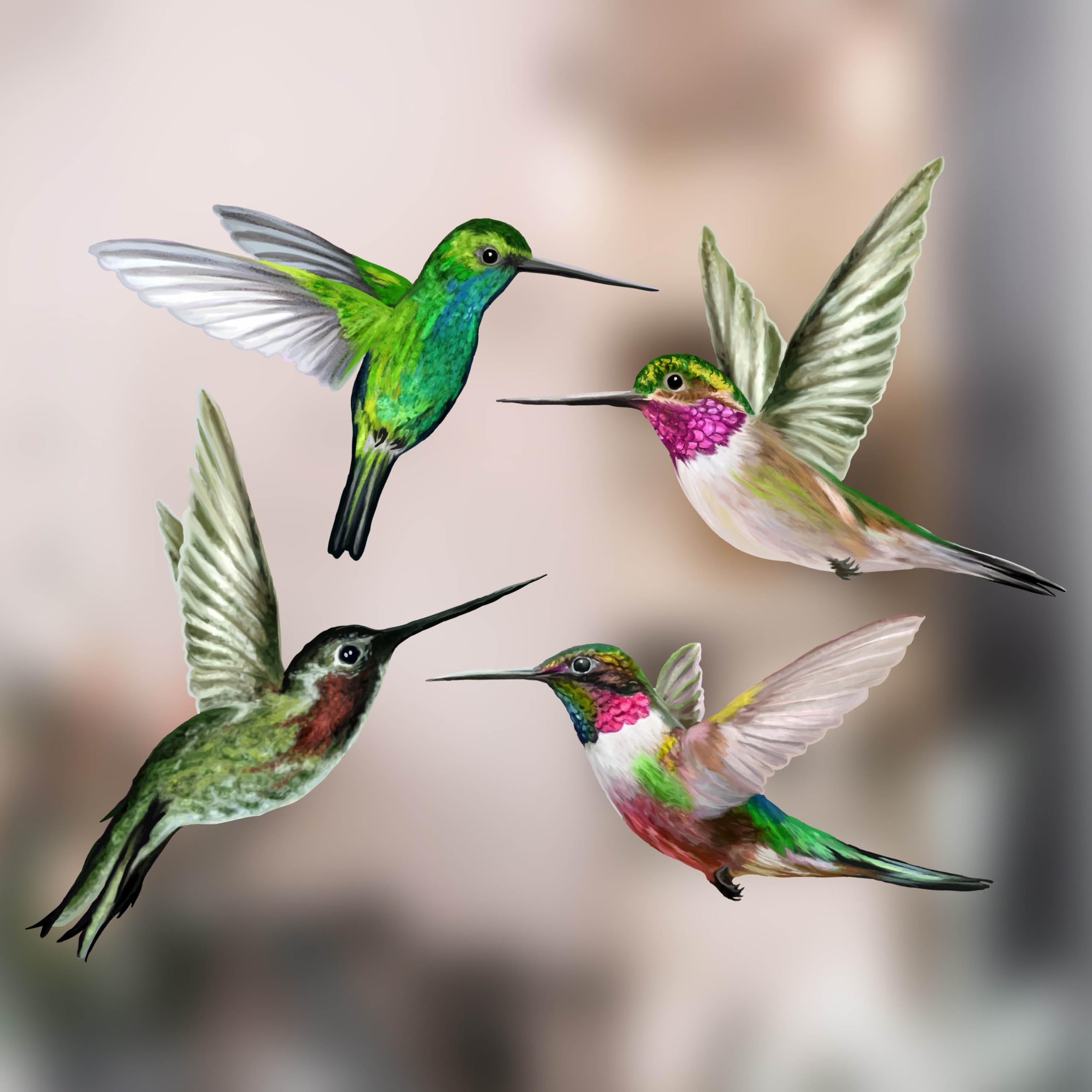 4 Large Beautiful Humming Bird Static Cling Window Stickers - Hummingbird Anti Collision Bird Strike Window Stickers - Unique Double Sided Print