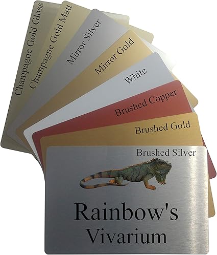 Targa Per Porta In Alluminio Con Scritta In Inglese Iguana Lucertola Nome Vivario 23 X 15 Cm 8 Colori Cuscinetti Adesivi Nastro Quadrato Quadrato Amazon It Prima Infanzia