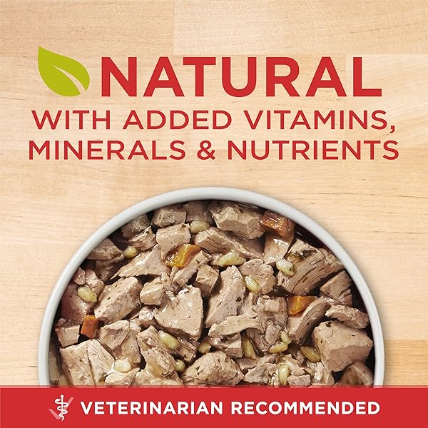 PURINA ONE TENDER CUTS IN WET DOG FOOD GRAVY CHICKEN AND BROWN RICE ENTREE – (PACK OF 12) 13 OZ. CANS