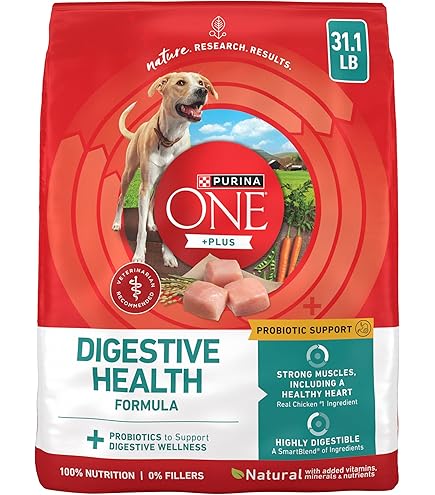 Amazon.com: Purina ONE Natural, Sensitive Stomach Dry Dog Food, +