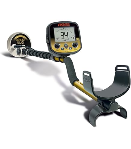 Amazon.com : Fisher Gold Bug Metal Detector : Hobbyist Metal