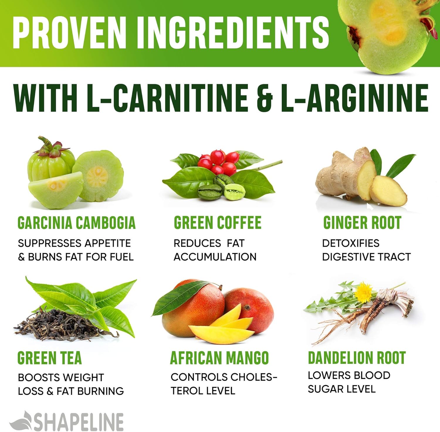 Weight Loss Drops - Appetite Suppressant for Women & Men - Made in The USA - Natural Metabolism Booster - Fast Weight Loss - Diet Drops with Garcinia Cambogia, L-Arginine & L-Glutamine: Health & Personal Care