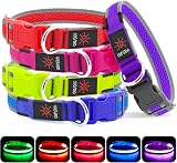 YFbrite Illuminated LED Dog Collar Purple Medium USB Rechargeable Safety Light view 6