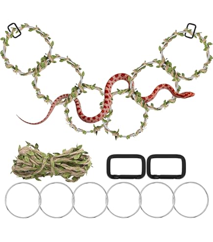 Lexziuo 1 Accessoire D'escalade Pour Serpent, Anneaux D'escalade Pour Reptiles Et Balançoires Pour Serpents, Lézards, Amphibiens – Décoration Interactive Pour Terrarium, Habitat De Reptile Intérieur