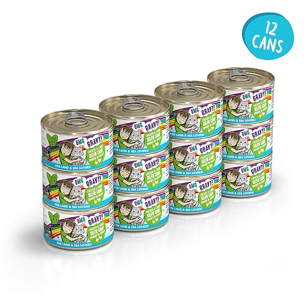 WERUVA B.F.F. OMG – BEST FELINE FRIEND OH MY GRAVY!, SELFIE CAM! WITH CHICKEN & LAMB IN GRAVY CAT FOOD, 2.8OZ CAN (PACK OF 12)