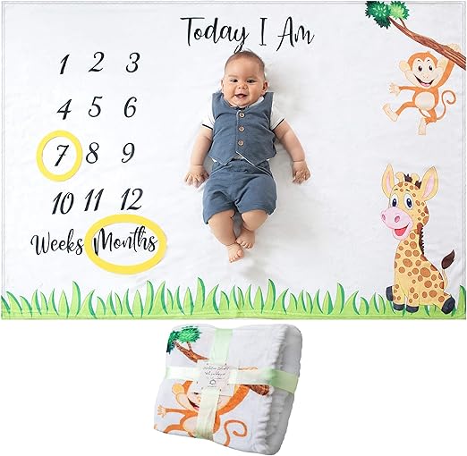 monthly toys for babies