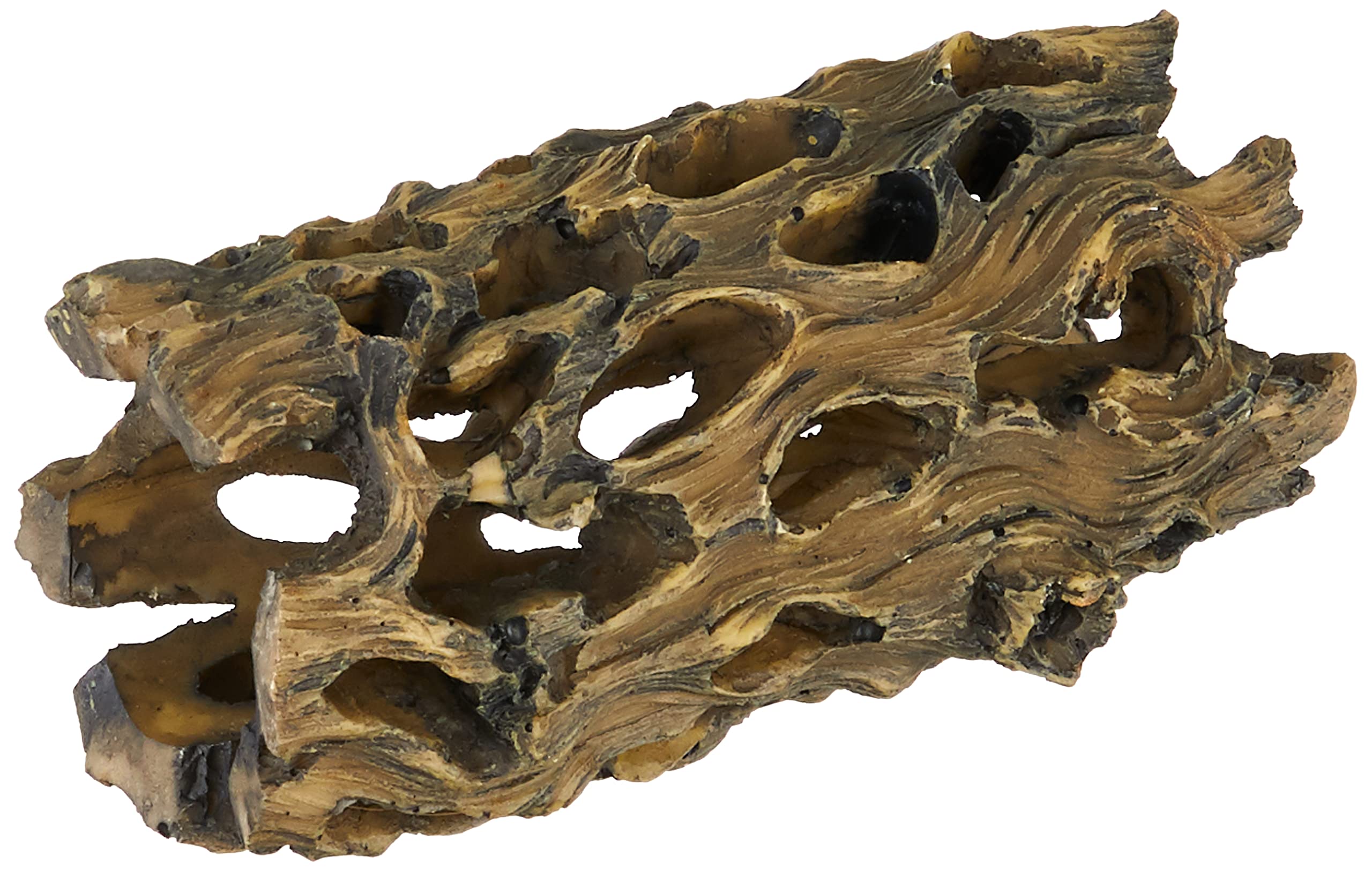 Exo Terra Cholla Skeleton, Small