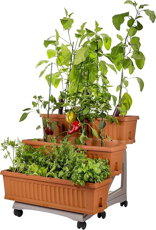 Bama M262993 - Mini huerto Urbano Terracota: Amazon.es: Jardín