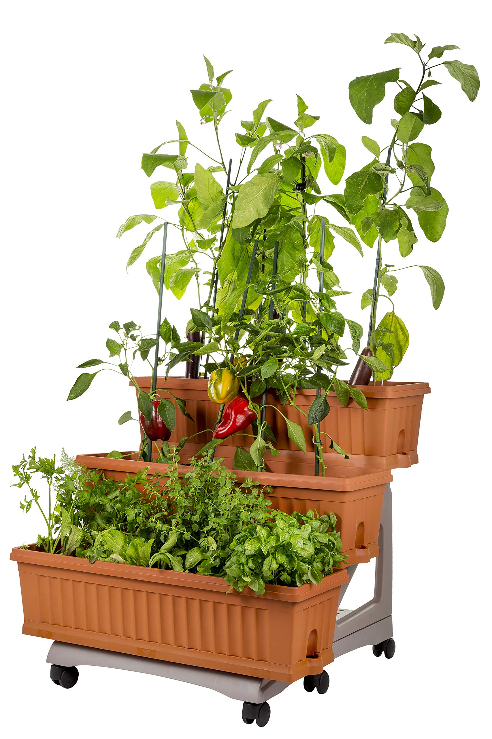 Bama 3 Planters Garden Kit with Cart