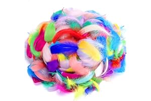 KELFUOYA 600PCS DIY Colorful Bulk Crafting Feathers Wedding and Party Decoration Feather Christmas Feathers for Mask,Windbell and Earrings,3-5 Inch
