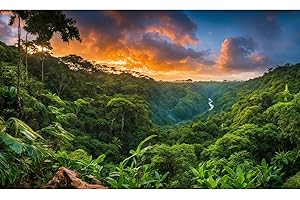 ZATIASMILLER Waterfall Aquarium Background Tropical Jungle Stream Lush Green Plant Leaves Sunset Landscape Terrarium Background Natural Jungle Style Fish Tank Background Reptile Habitat Backdrop Vinyl 36x18in