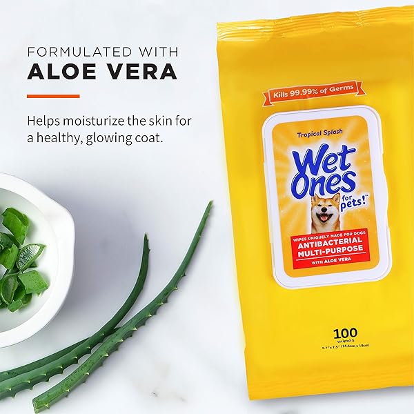 WET ONES FOR PETS MULTIPURPOSE DOG WIPES WITH ALOE VERA, TROPICAL SPLASH SCENT – PET BATHING WIPES WITH WET LOCK SEAL FOR DOG PAWS AND ALL-OVER USE, 100 COUNT – 3 PACK