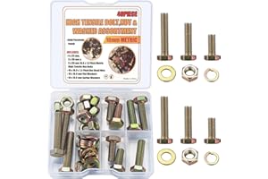 SYBDXJ 40 Pcs Hex Head Bolts and Nuts Kit, Metric Hex Head Cap Screws Nuts and Bolts and Flat Washers/Spring Washers Fasteners Sets, for Home Fixation Repairs(M10)