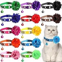 kitten flower collar