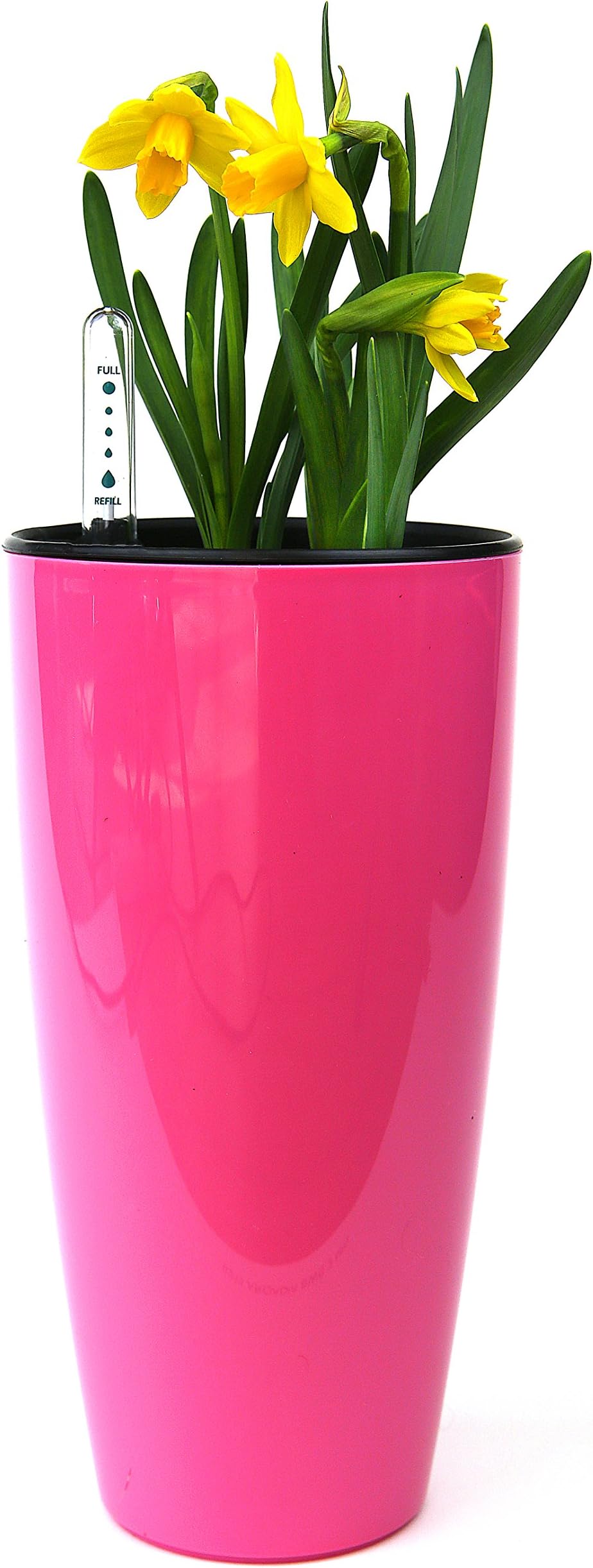 Self Watering Planter by MyEasygro for Indoor and Outdoor | Excellent Pot for Flowers, House Plants, Herbs, Vegetables, Seeds | Water Level Indicator | Create an Urban Garden | 24 high x 12cm diameter (Pink)