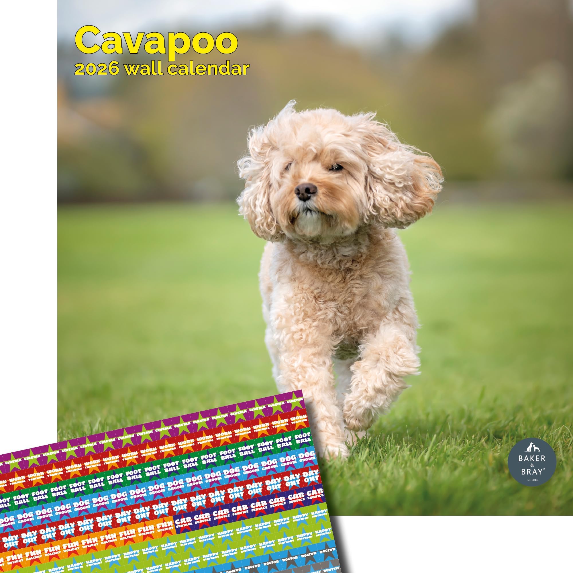 Baker and Bray Cavapoo Calendar 2026, Large Square Wall Calendar With Organisational Stickers, 16 Month, Cavapoo Gift Dog Calendar