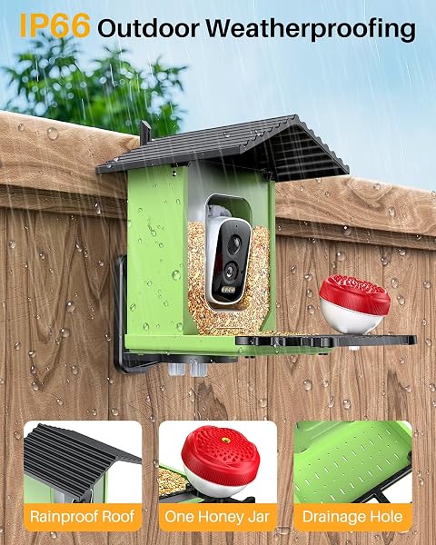 OPOWO BIRD FEEDER WITH CAMERA, 2K HD AI IDENTIFY SMART BIRD HOUSE CAMERA WITH SOLAR POWERED, LIVE VIEW, INSTANT ARRIVAL ALERTS, AUTO CAPTURE VIDEO FOR OUTSIDE, SUPPORTS 2.4GHZ WI-FI ONLY, BRIGHT GREEN