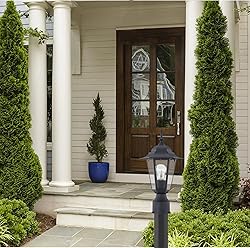 WISBEAM Outdoor Post Light, Pole Lantern, E26 Base