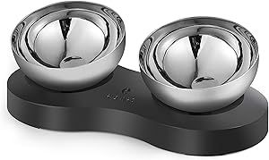 KANCHOU Elevated Dog Cat Bowls for Food and Water 23 OZ Capacity 15°Tilted Stainless Steel cat Bowls for Small Size Dog and Puppy or cat Dishes Indoor (Double Bowl)
