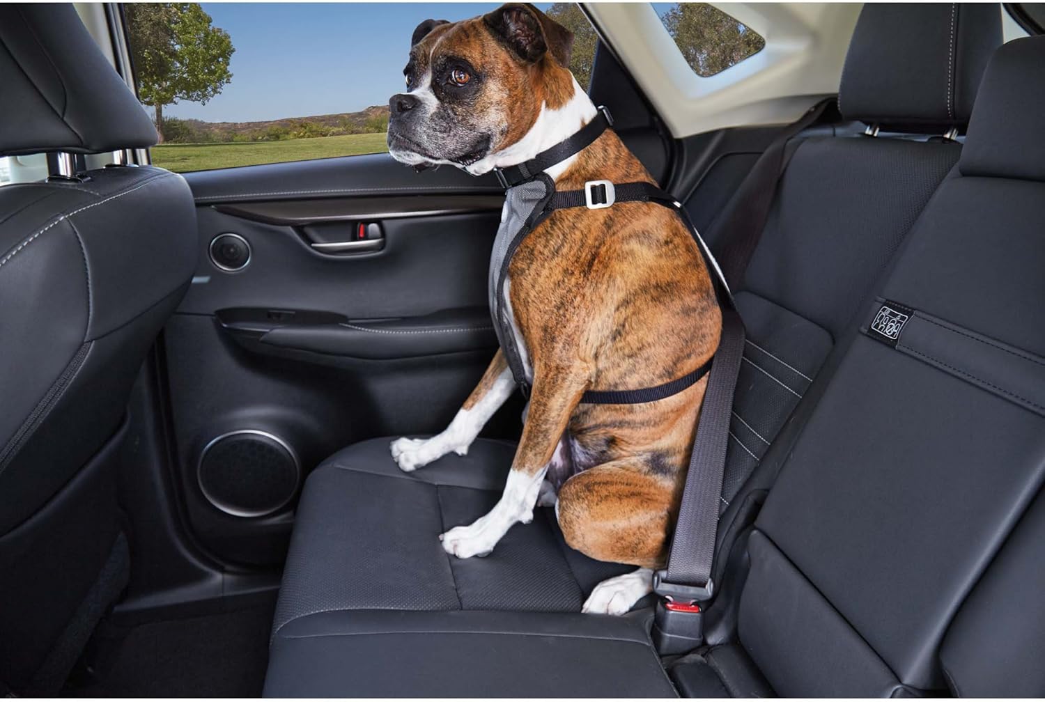 good2go auto harness