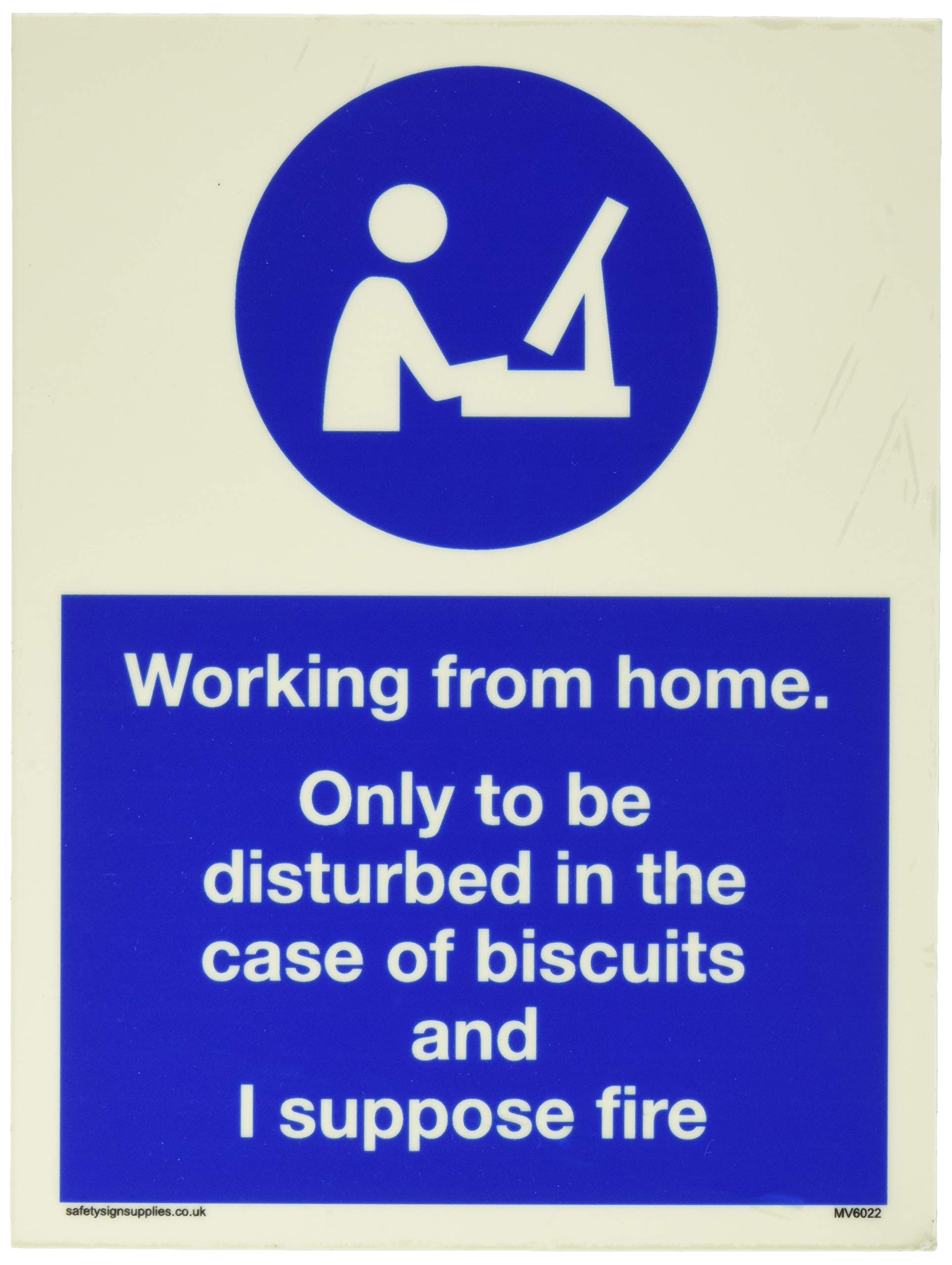 Working from home. Only to be disturbed in the case of biscuits and I suppose fire