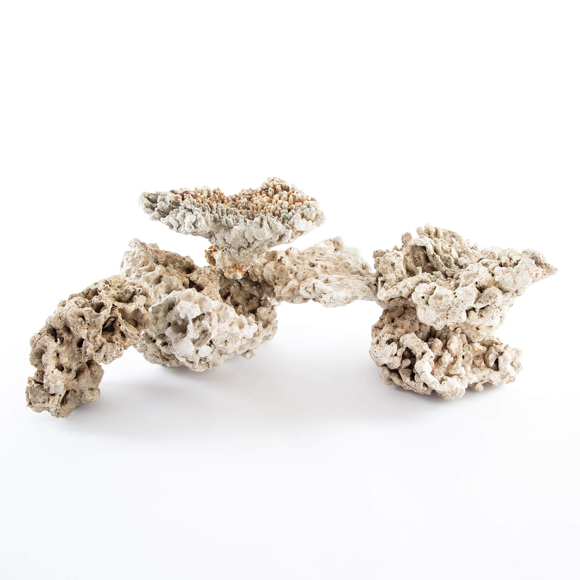 iQuatics 10kg Dried Reef Rock – Mixed Boulder & Plate Pack for Marine, Tropical & Cichlid Aquariums – Porous, Pest-Free, Easy to Scape – Ideal for Aquascaping, Filtration & Reef Setups