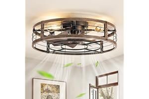 LEDIARY 23" Caged Ceiling Fan with Light and Remote, Low Profile Flush Mount Fandelier, Black Gold Bladeless Enclosed Small F