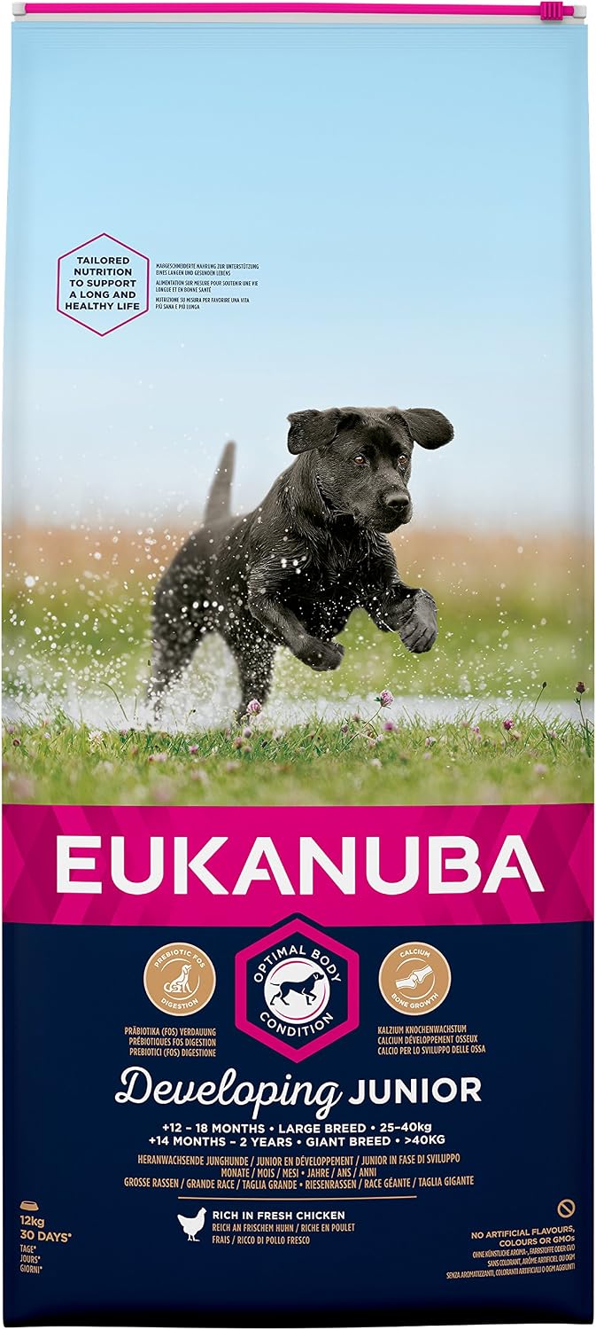 Eukanuba Junior Dog Food For Large Dogs Rich In Fresh Chicken for the Optimal Body Condition of Your Dog 12 kg