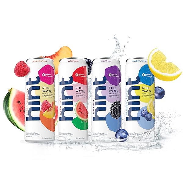 HINT FRUIT-INFUSED CANNED WATER, BLACKBERRY – PURIFIED FLAVORED WATER WITH ZERO CALORIES, NATURAL FLAVORS, AND SUGAR FREE – 12 FL OZ CANS (PACK OF 12)