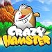Crazy Hamster