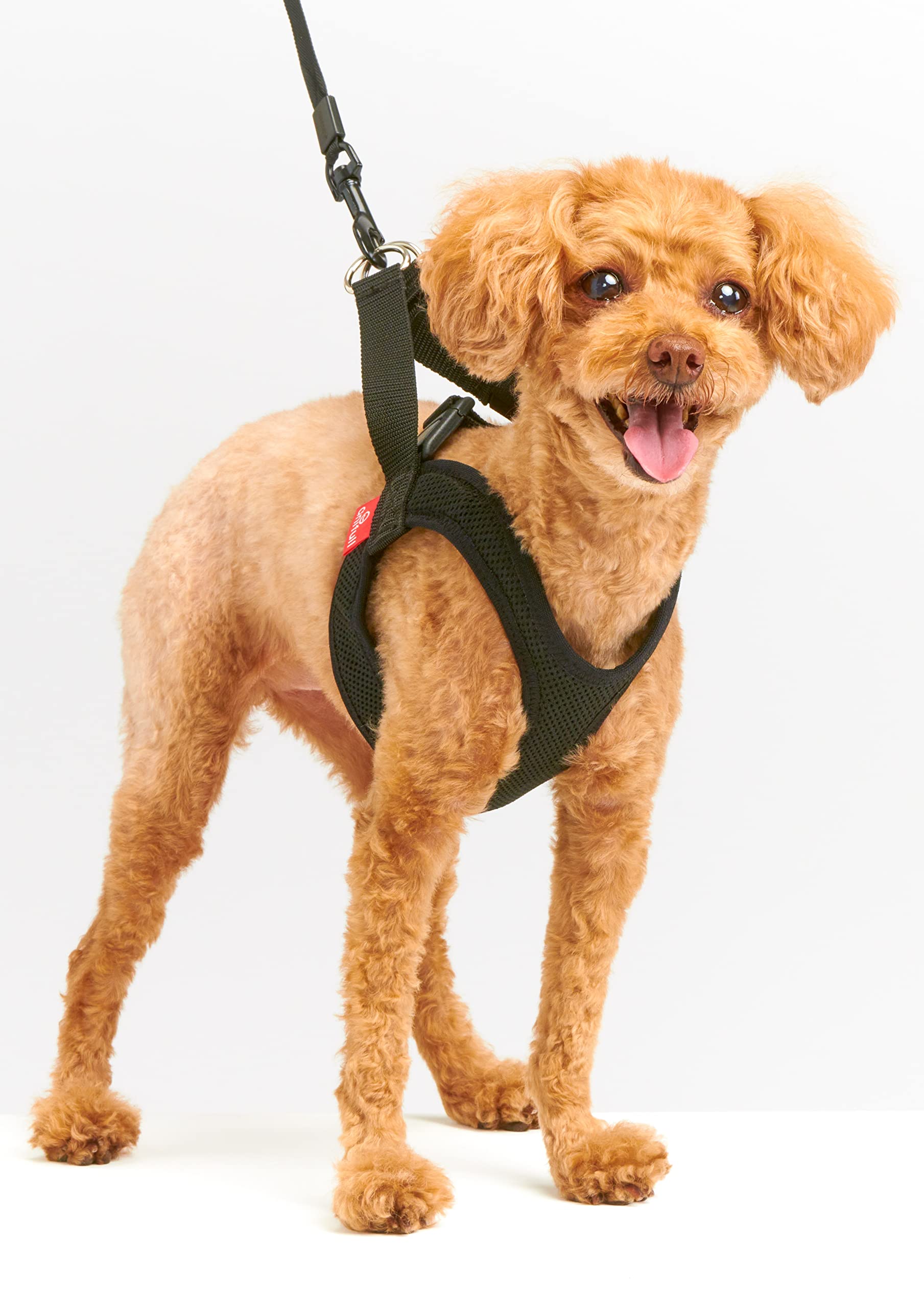 アニフル (anifull) アニサポ ハーレスト ブラック Sサイズ 犬 S サイズ商品画像