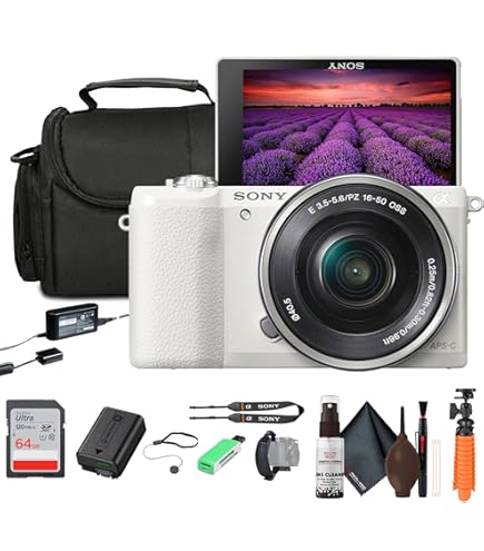 Amazon.com : Sony a5100 16-50mm Mirrorless Digital Camera with 3