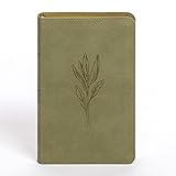 CSB Personal Size Bible, Sage SuedeSoft