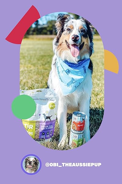 I AND LOVE AND YOU WET DOG FOOD – BAAD MOOON ON THE RISE VARIETY PACK – BEEF + LAMB, GRAIN FREE, FILLER FREE 13OZ CAN, 6PK
