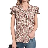 DILIUXING Women's Summer Dressy Chiffon Blouses Short Sleeve V Neck Tunic Tops for Leggings Casual T-Shirts