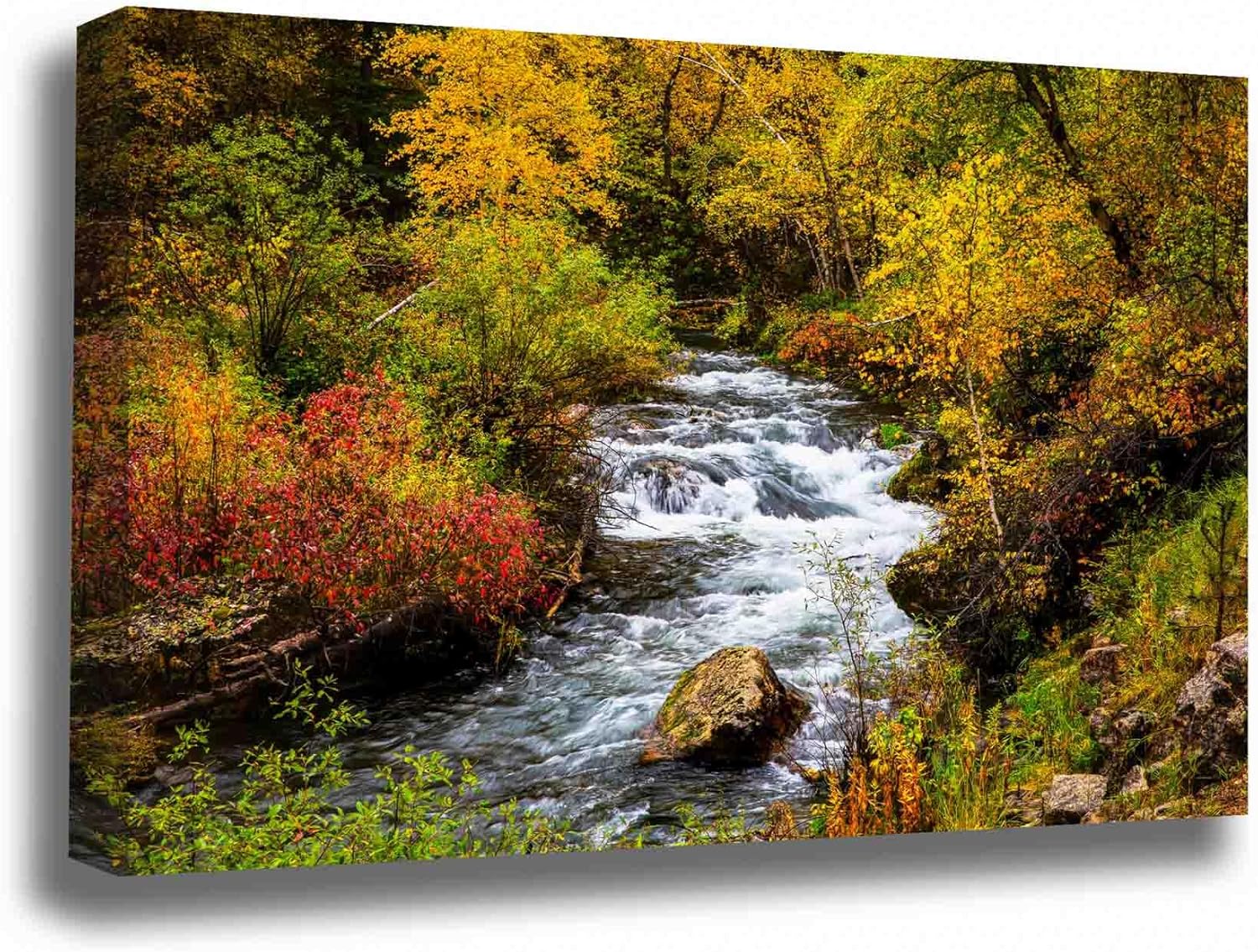 Photographs - Black Hills Canvas Wall Art (Ready to Hang) Gallery Wrap of Fall Foliage Surrounding Creek on Autumn Day in Spearfish Canyon South Dakota Western Photography Nature Decor (.75, 24