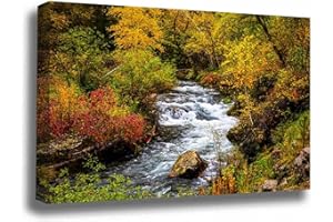 SOUTHERN PLAINS PHOTOGRAPHY Black Hills Canvas Wall Art (Ready to Hang) Gallery Wrap of Fall Foliage Surrounding Creek on Autumn Day in Spearfish Canyon South Dakota Western Photography Nature Decor (1.5" Depth, 32" x 48")